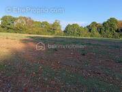 Terrain à SAINTE-GENEVIEVE