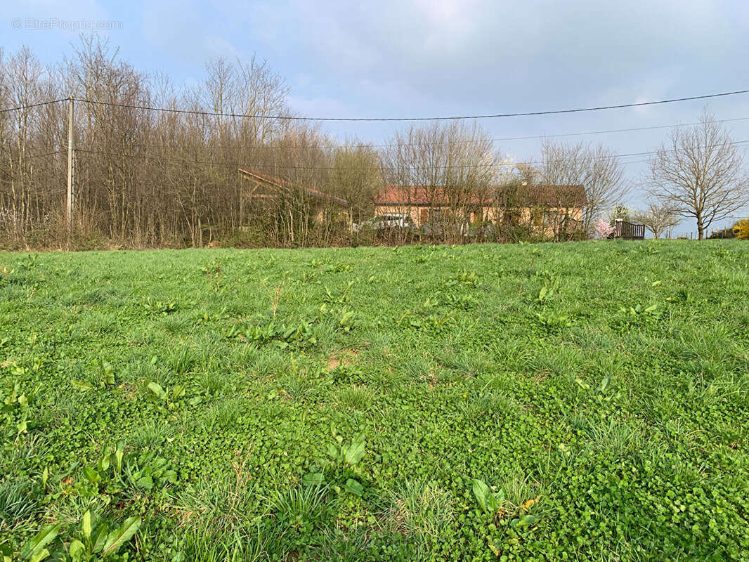 Terrain à VILLEMOTIER