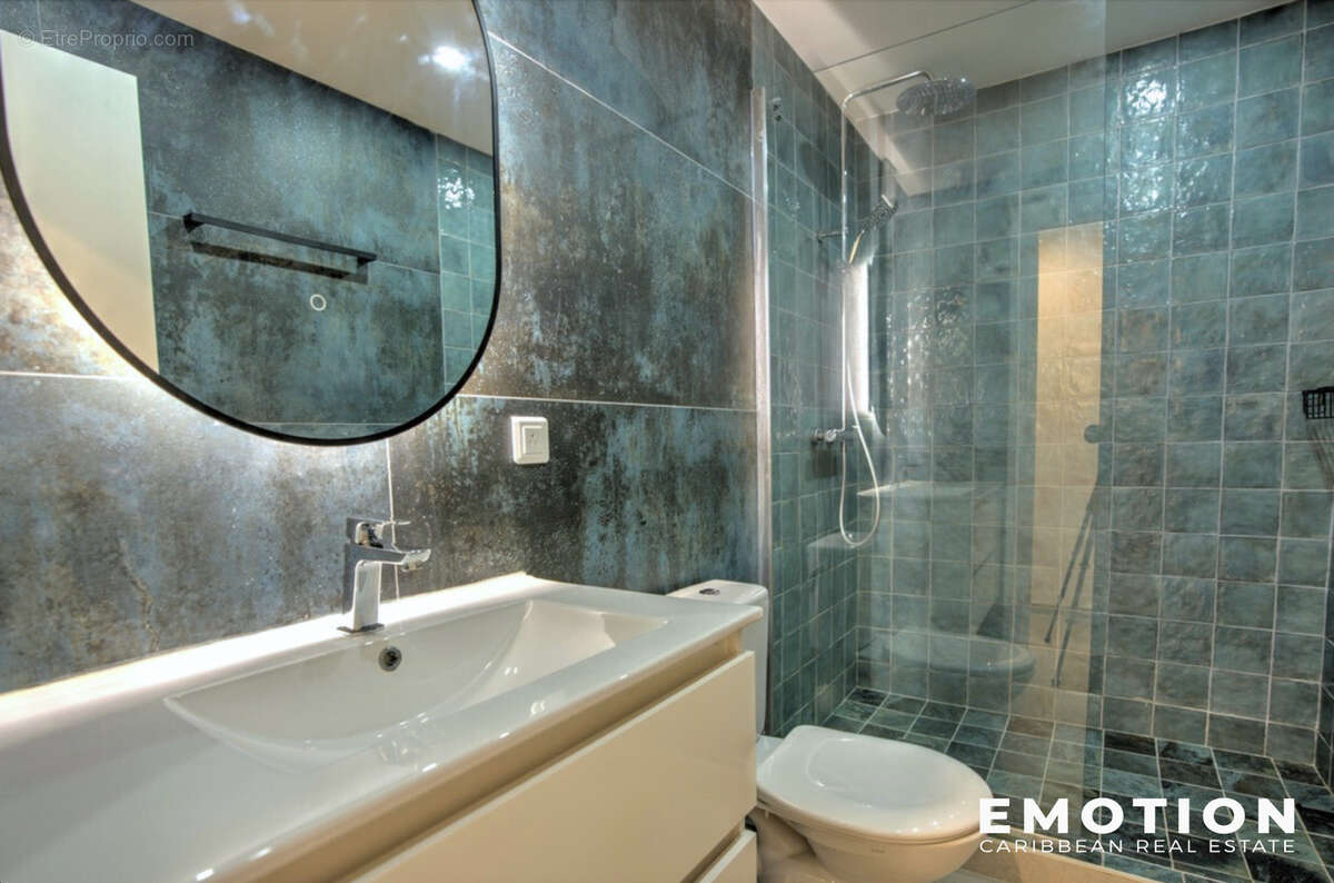 Appartement à SAINT-MARTIN