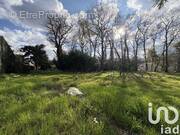 Photo 1 - Terrain à BREUILLET