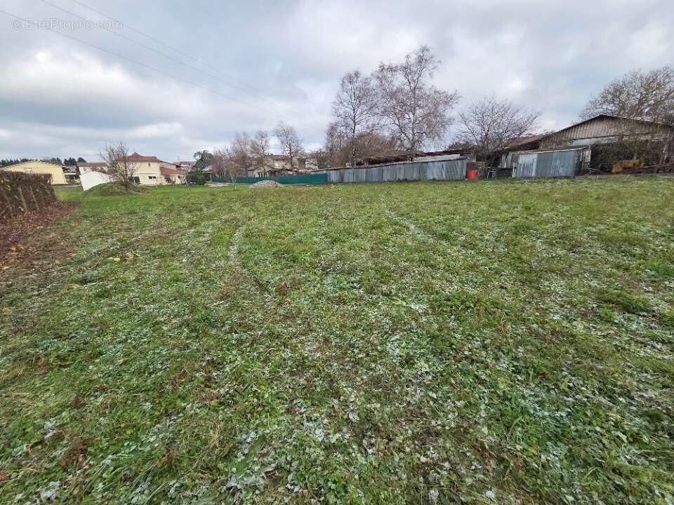 Terrain à CHAZEY-SUR-AIN