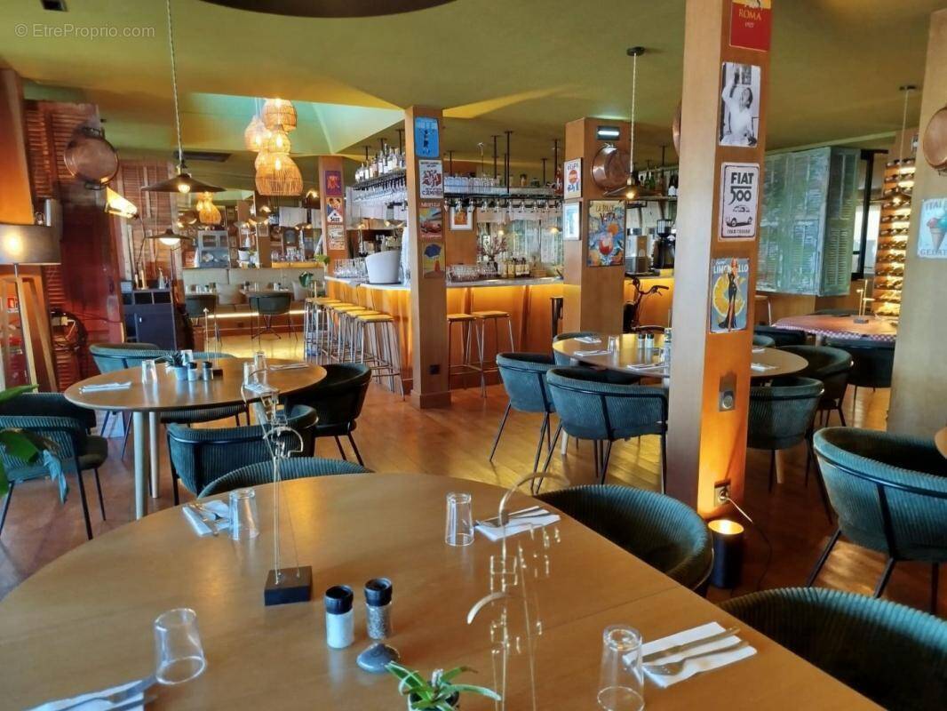 Commerce à SAINT-LAURENT-DU-VAR