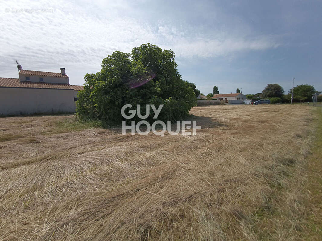 Terrain à DOLUS-D'OLERON
