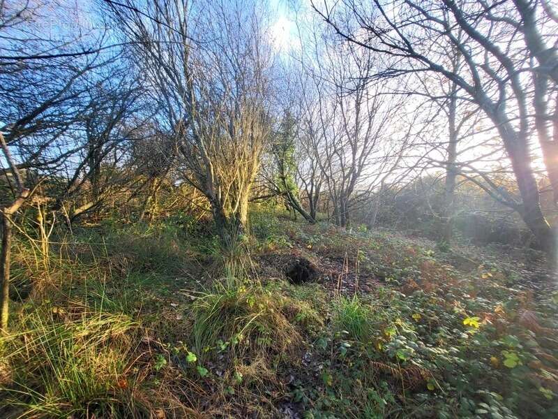 Terrain à TELGRUC-SUR-MER