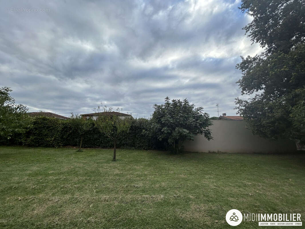 Terrain à SAINT-JUERY