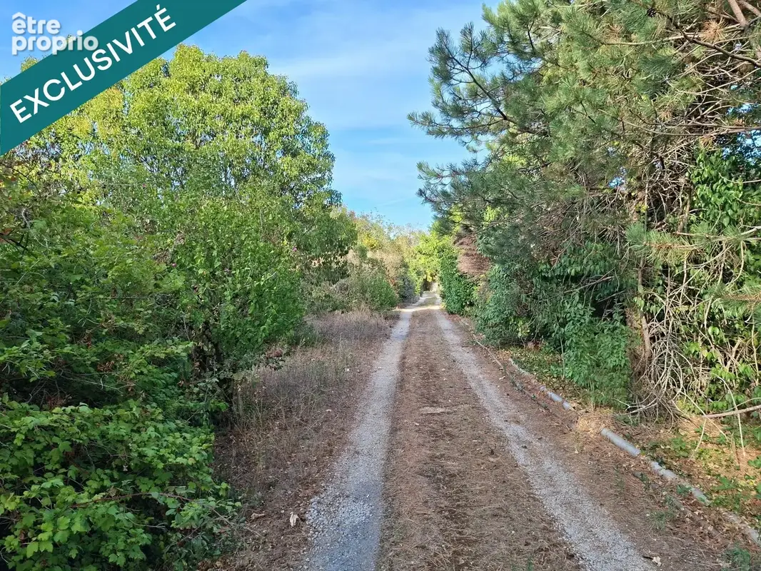 Photo 1 - Terrain à LAGARRIGUE