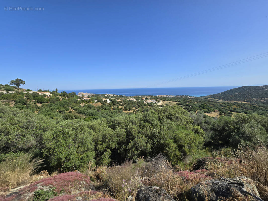 Terrain à MONTICELLO
