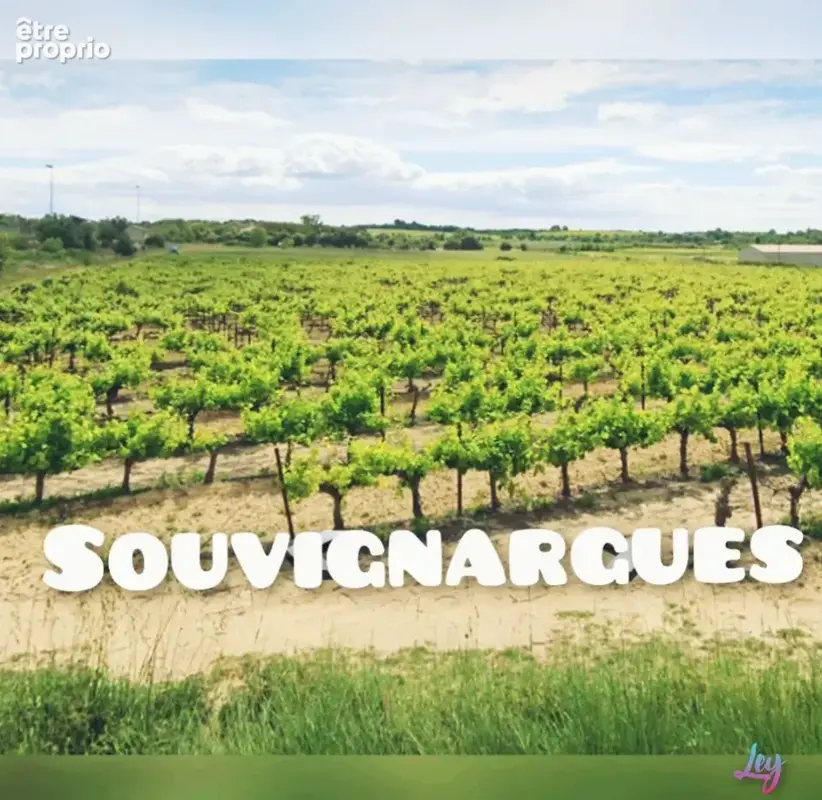Terrain 365 m² à vendre à Souvignargues (30250) - photo 2