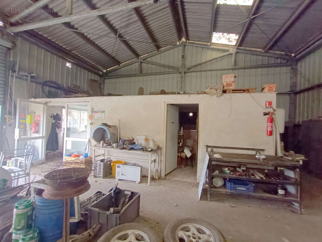 Commerce à CARCASSONNE