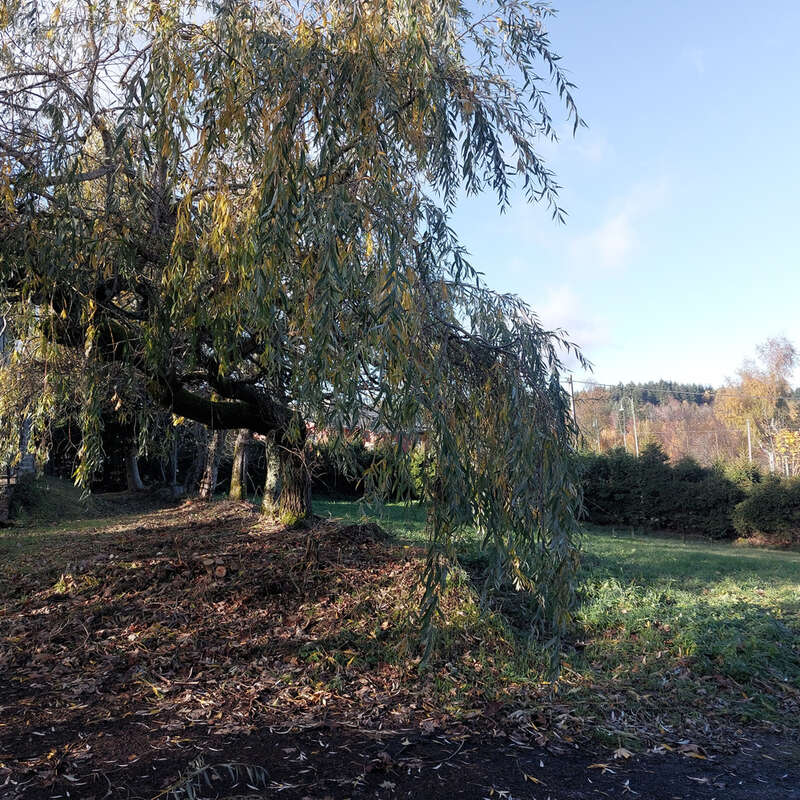 Maison à SAINT-AGREVE