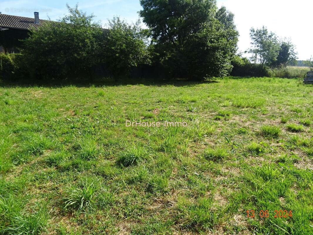 Terrain à CARTELEGUE