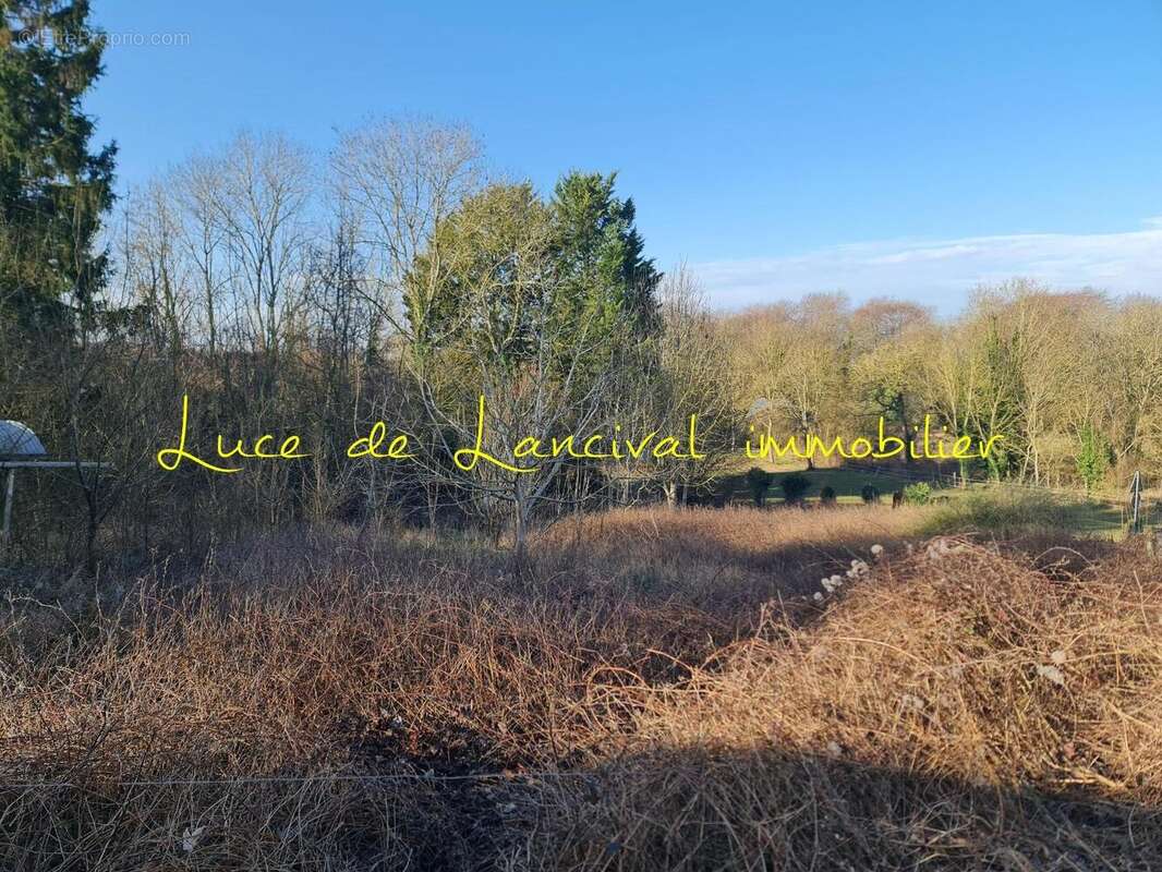 Photo 6 - Terrain à SAINT-GOBAIN