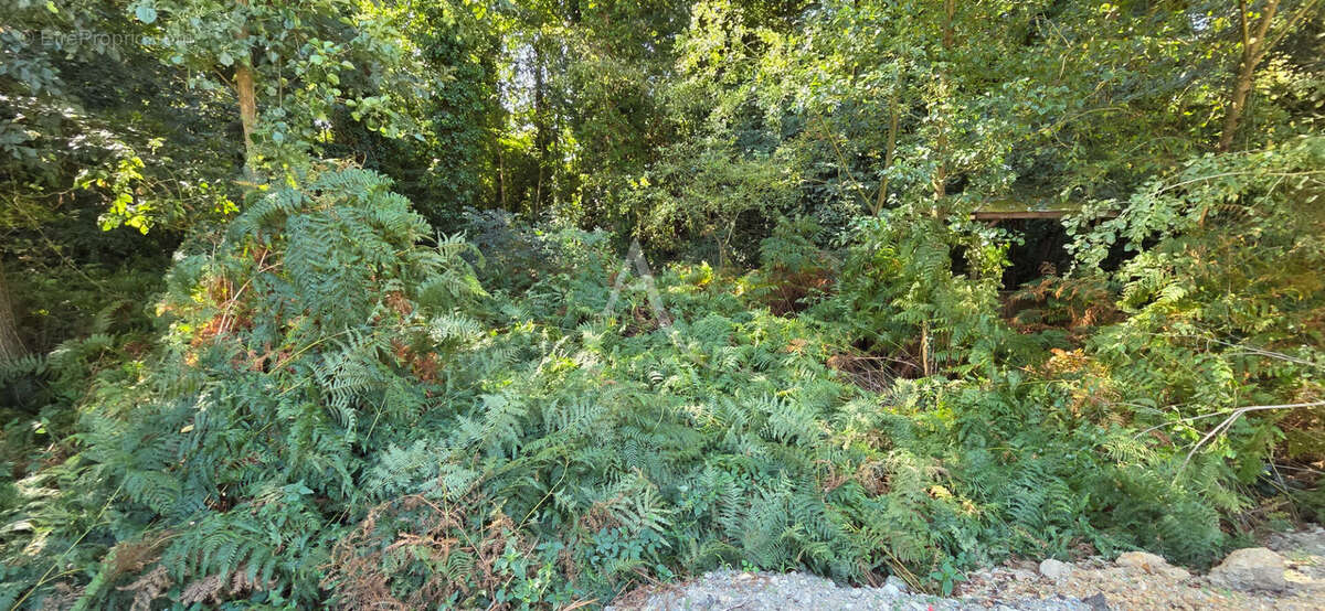 Terrain constructible à Saint Hilaire De Riez 1453 m2 - photo 3