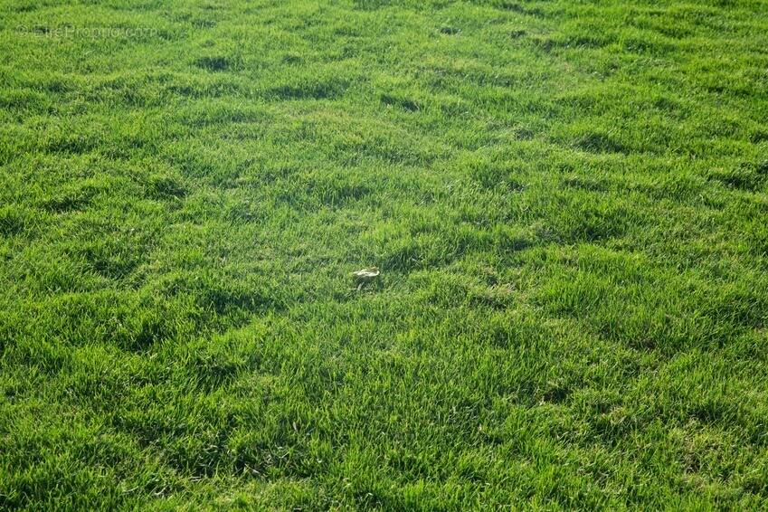 Terrain à LA BARRE-DE-MONTS