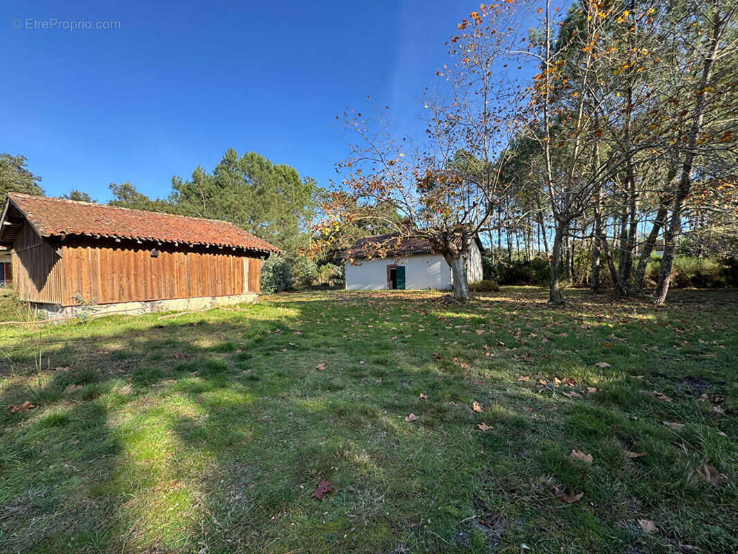 Maison à MOLIETS-ET-MAA