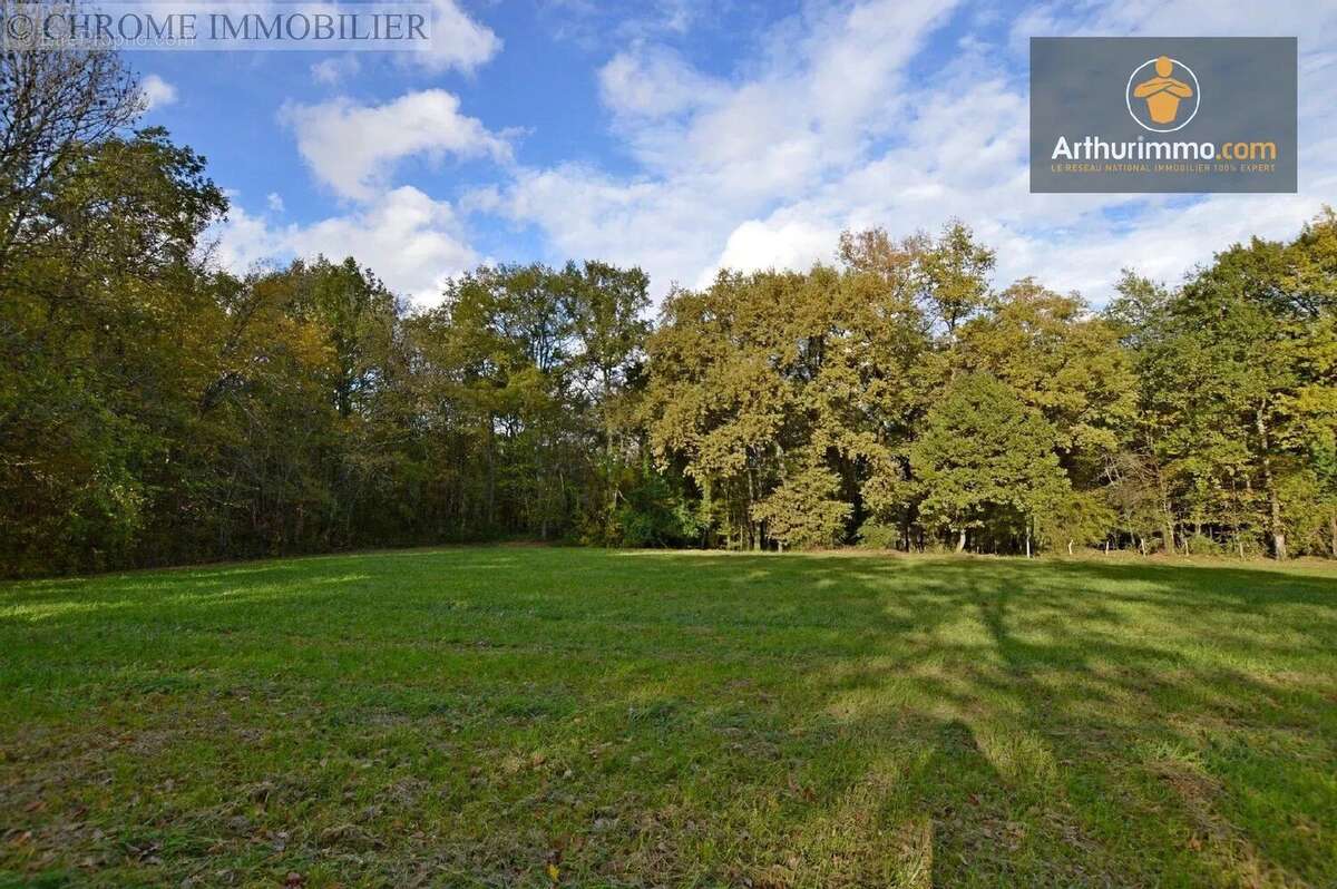 Terrain à SAVIGNAC-DE-DURAS