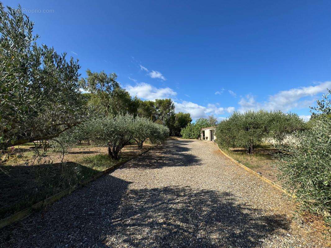 Propriété 179m² avec piscine - 23000m² de terrain - photo 7
