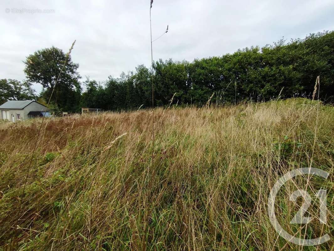 Terrain à VAL-D&#039;IZE