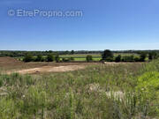 Terrain à MONTIGNY-LES-METZ