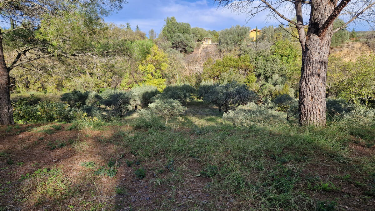 Terrain à FONTES