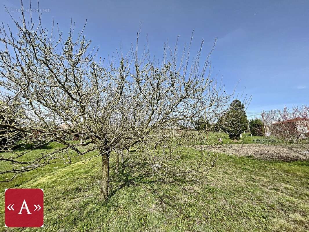 Terrain à GIROUSSENS