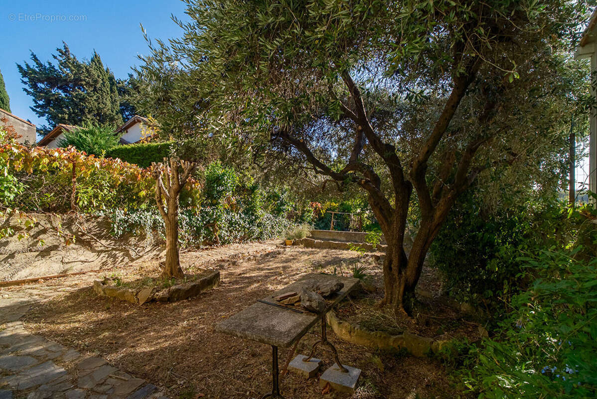 Maison à CARCASSONNE