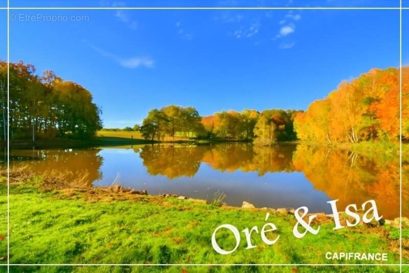 Terrain à SAINT-DESIRE