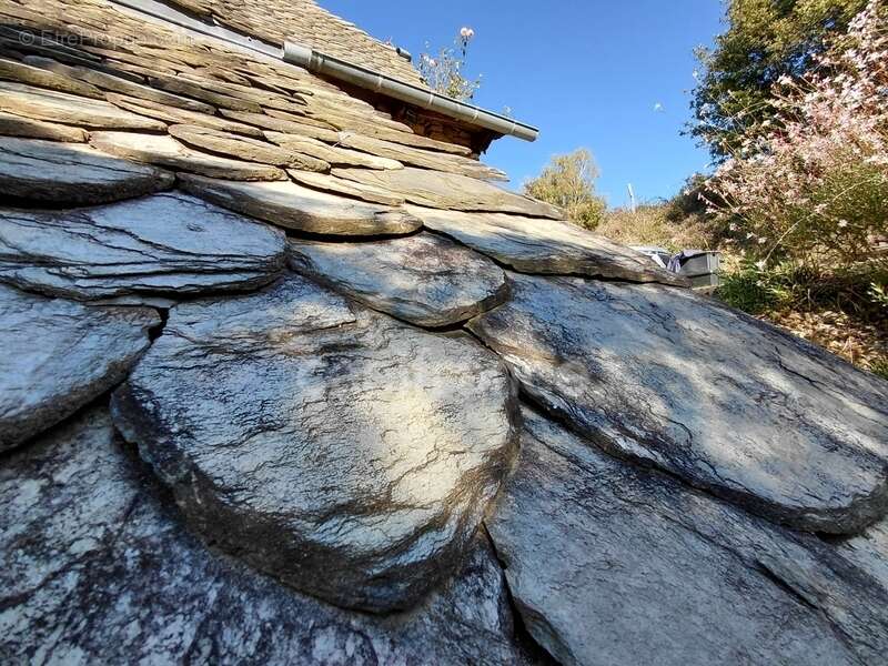 Maison à VIEILLEVIE
