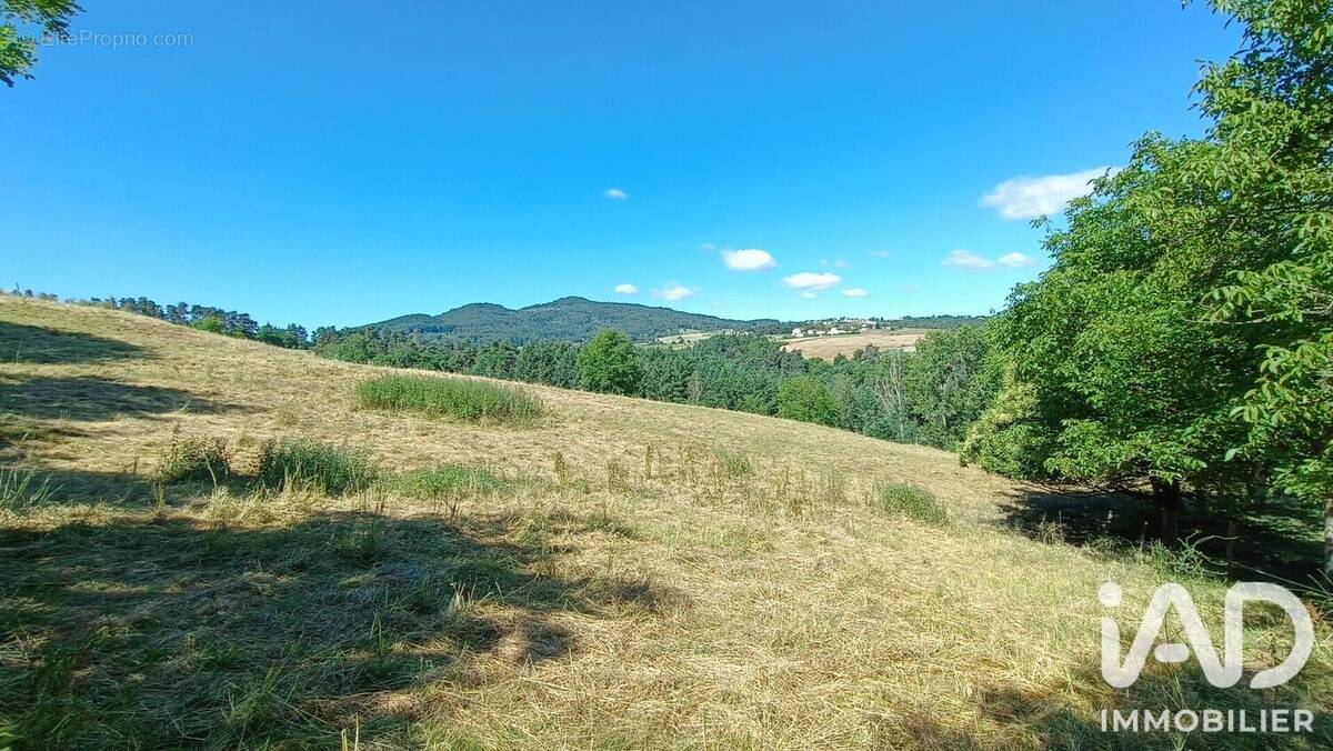 Photo 1 - Terrain à BEAUZAC