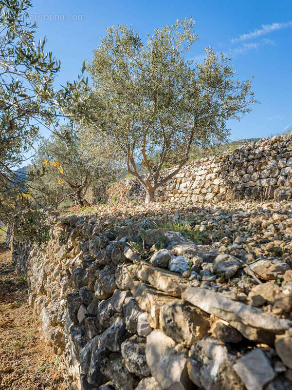 Maison à ROQUEVAIRE