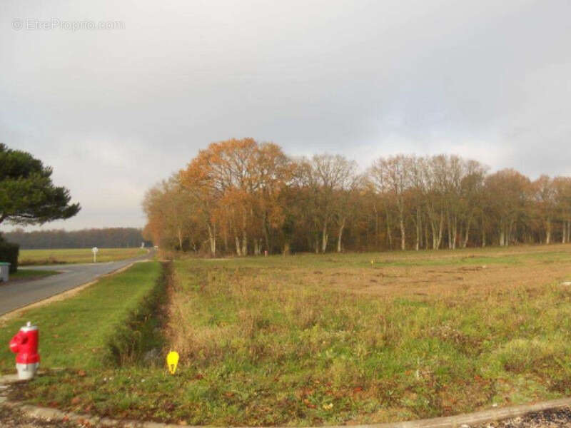 Terrain à GRETZ-ARMAINVILLIERS