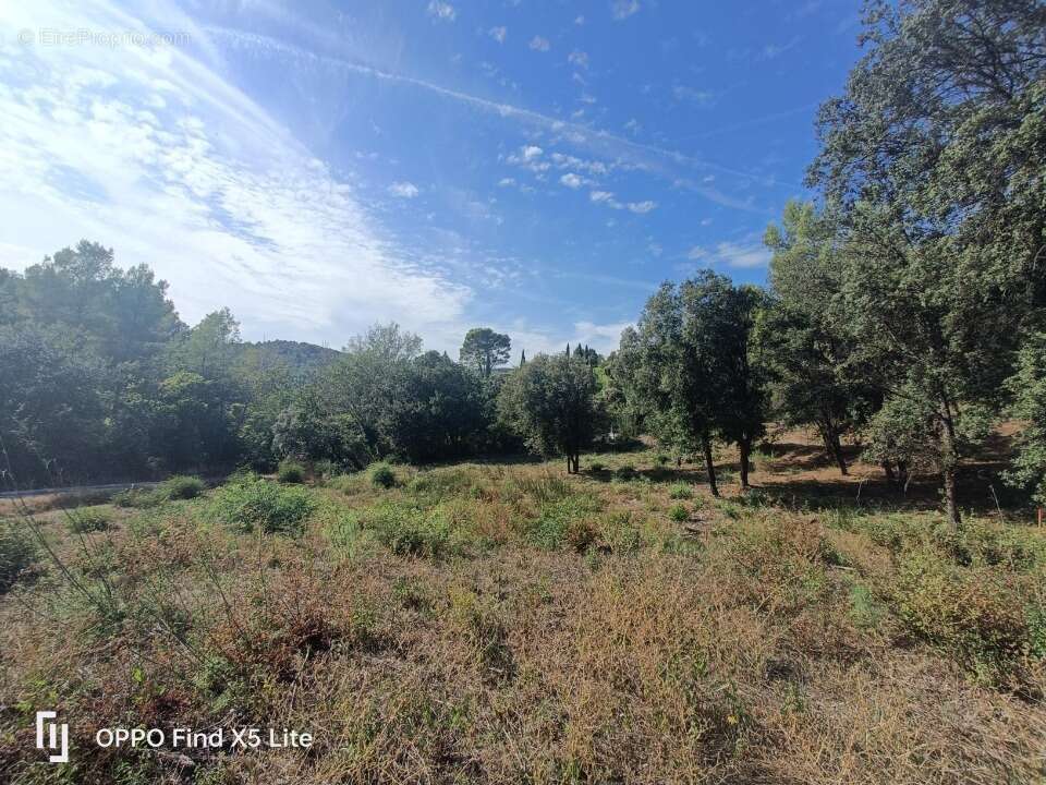 Terrain 930 m² à Taradeau  - photo 4