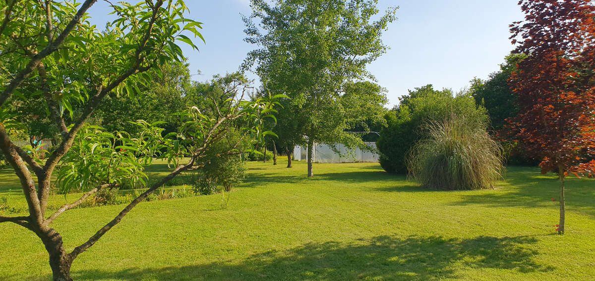 Maison à ARCIS-LE-PONSART