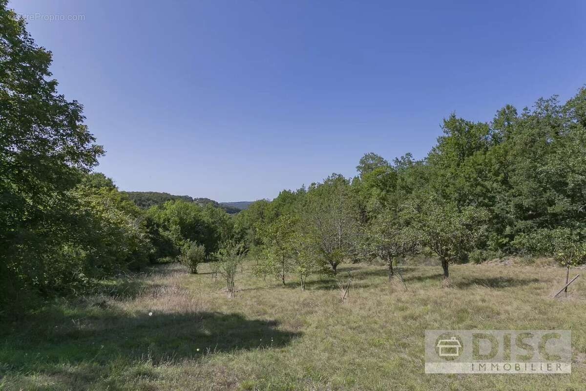 Maison à CASTELNAU-DE-MONTMIRAL