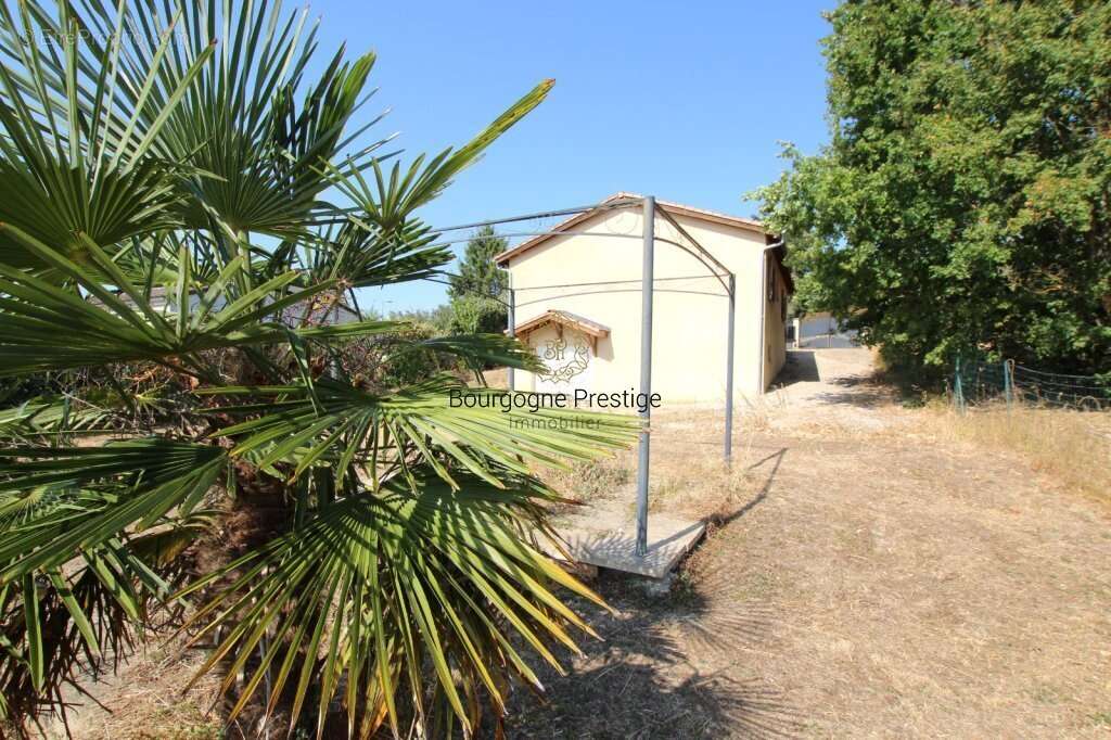 A l'ouest de tournus jolie maison de 89 m² sur sous-sol  - terrain de 1394 m² - photo 2