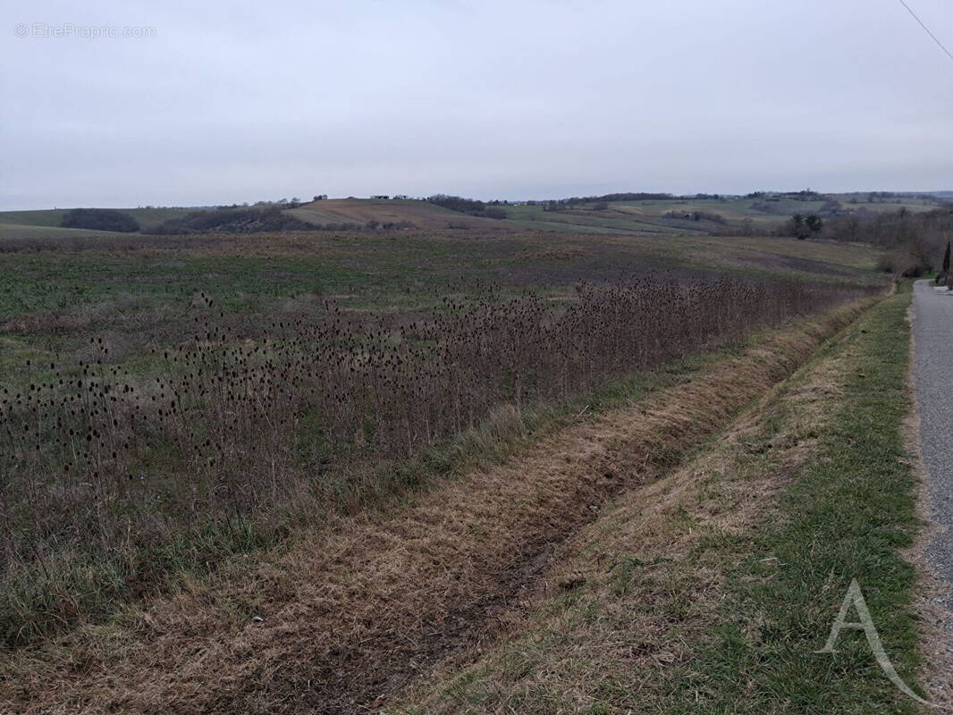 Terrain à LE FAGET