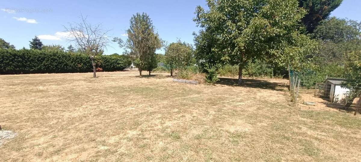 Terrain à bâtir entièrement plat de plus de 800 m2 avec une façade de 24 m - photo 6