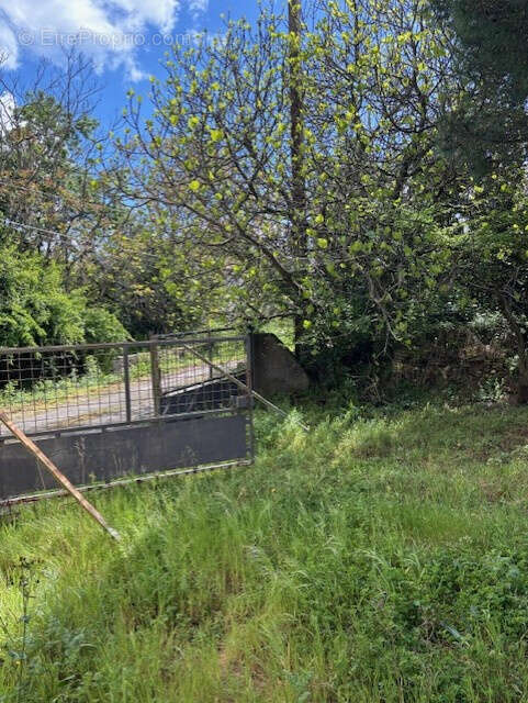 Terrain à LE BURGAUD