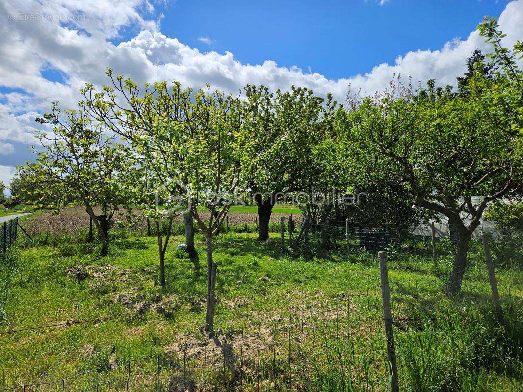 Maison à CAUDECOSTE