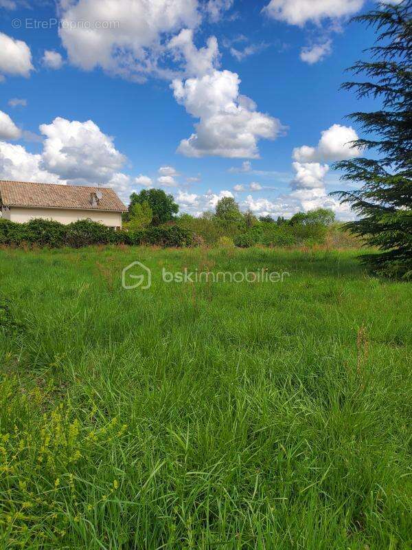 Terrain à MIRAMONT-DE-GUYENNE