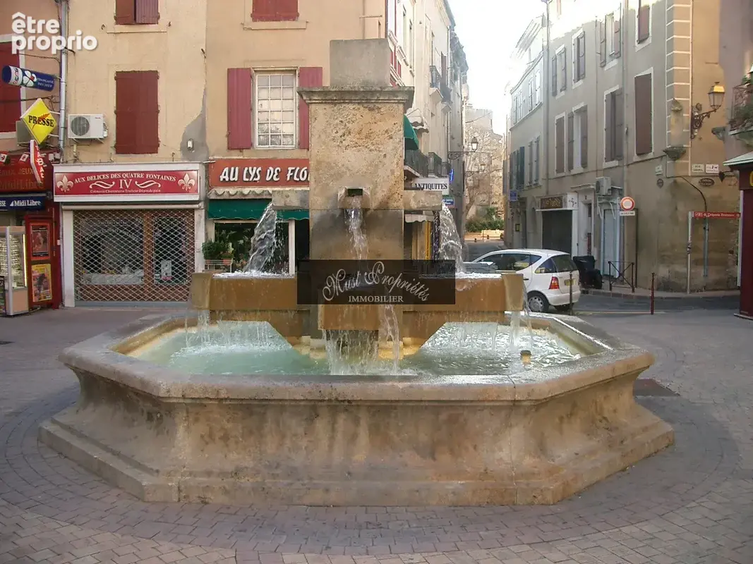 Murs commerciaux 70 m2 non loues. - photo 10
