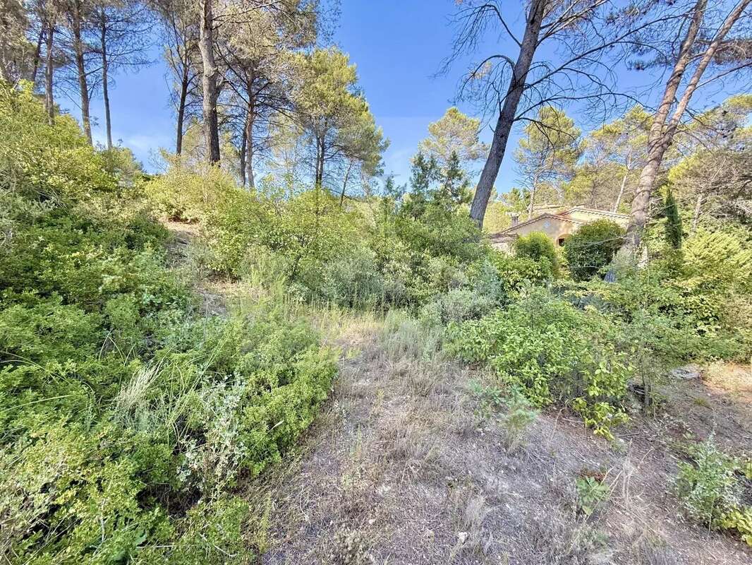 Saint-marc-jaumegarde / terrain constructible en position dominante - photo 16