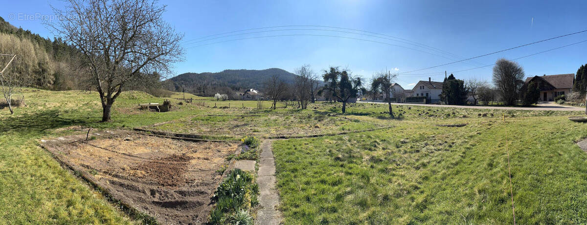 IMG_8591 - Terrain à DOMMARTIN-LES-REMIREMONT