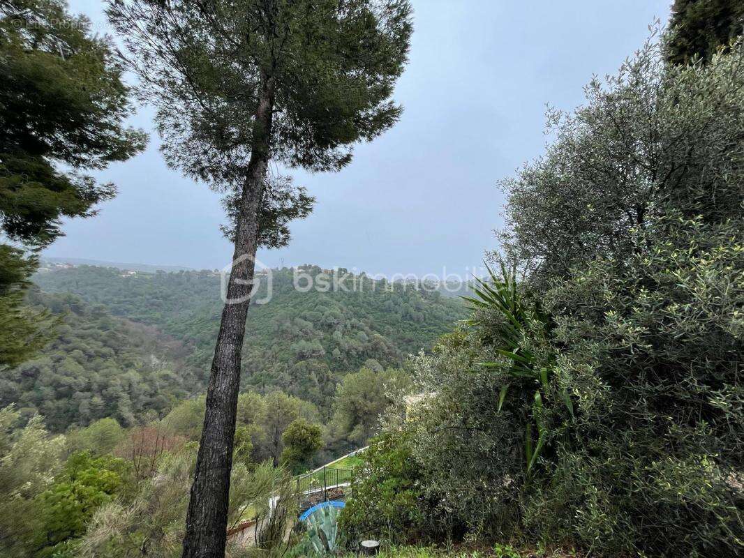 Colomars - ideal investisseur - maison en travaux inacheves - 500m² - terrain 1975 m² - 20 min nice - photo 4