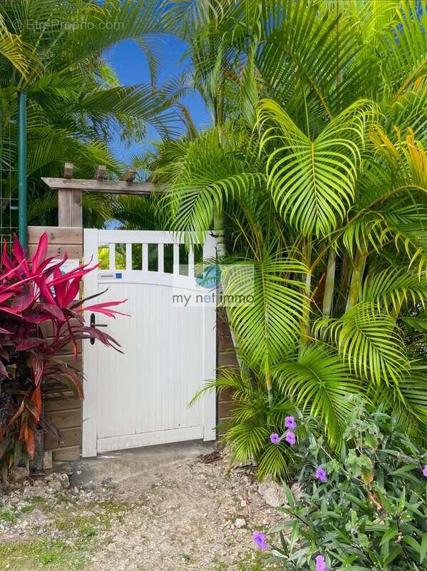 Appartement à SAINT-FRANCOIS