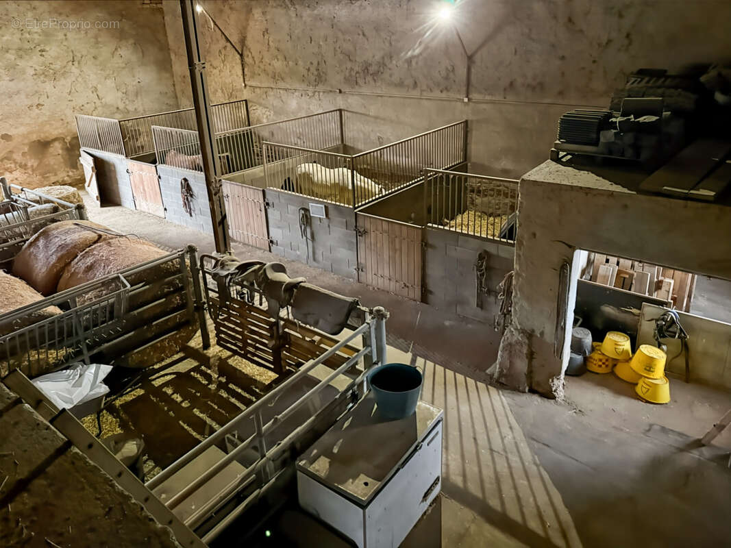 Maison à AZANNES-ET-SOUMAZANNES