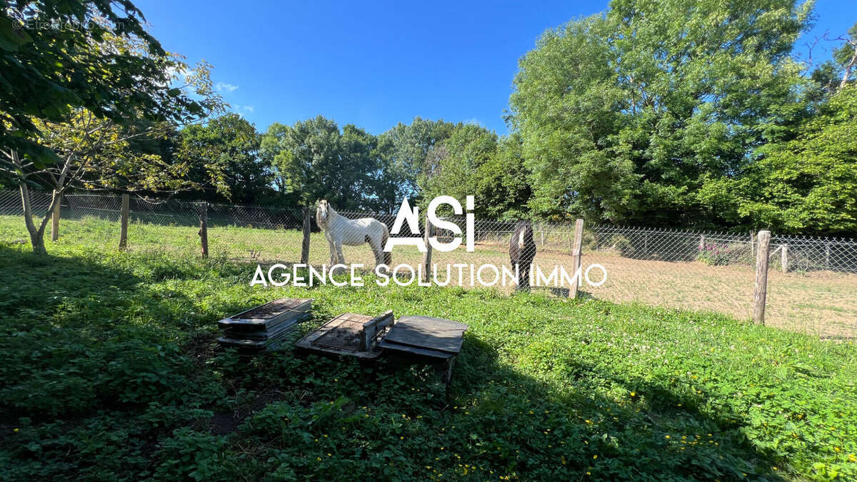 Maison à SAINTE-GEMMES-LE-ROBERT