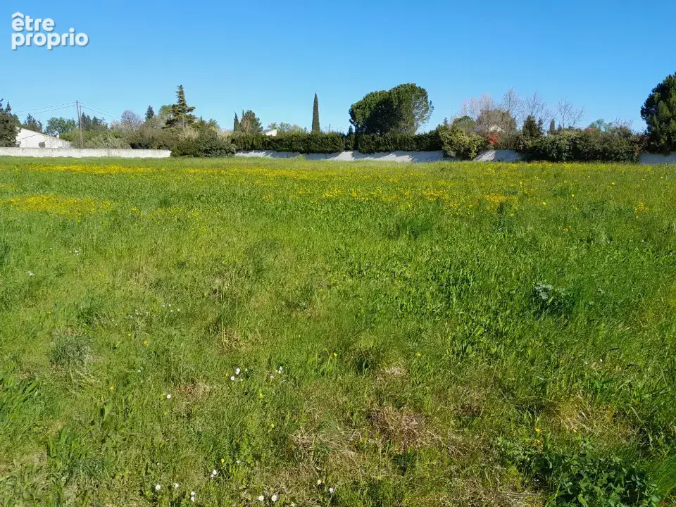 Terrain 600 m² à vendre à L'isle-Sur-La-Sorgue (84800) - photo 4