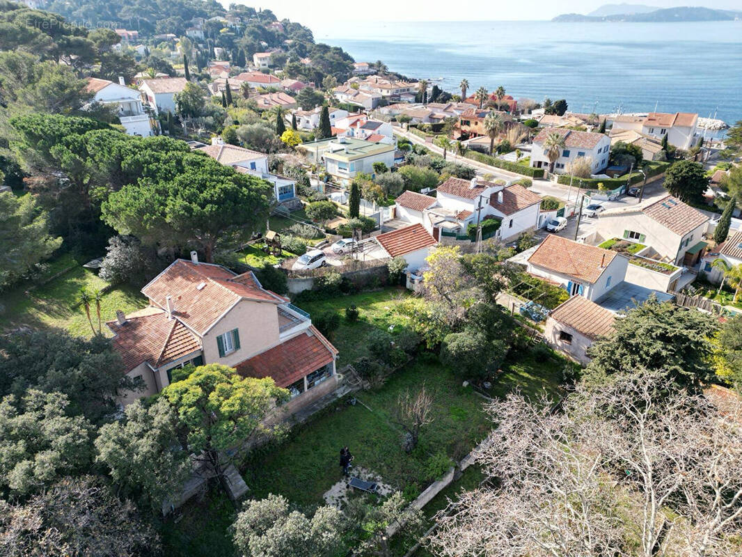 Terrain à LE PRADET