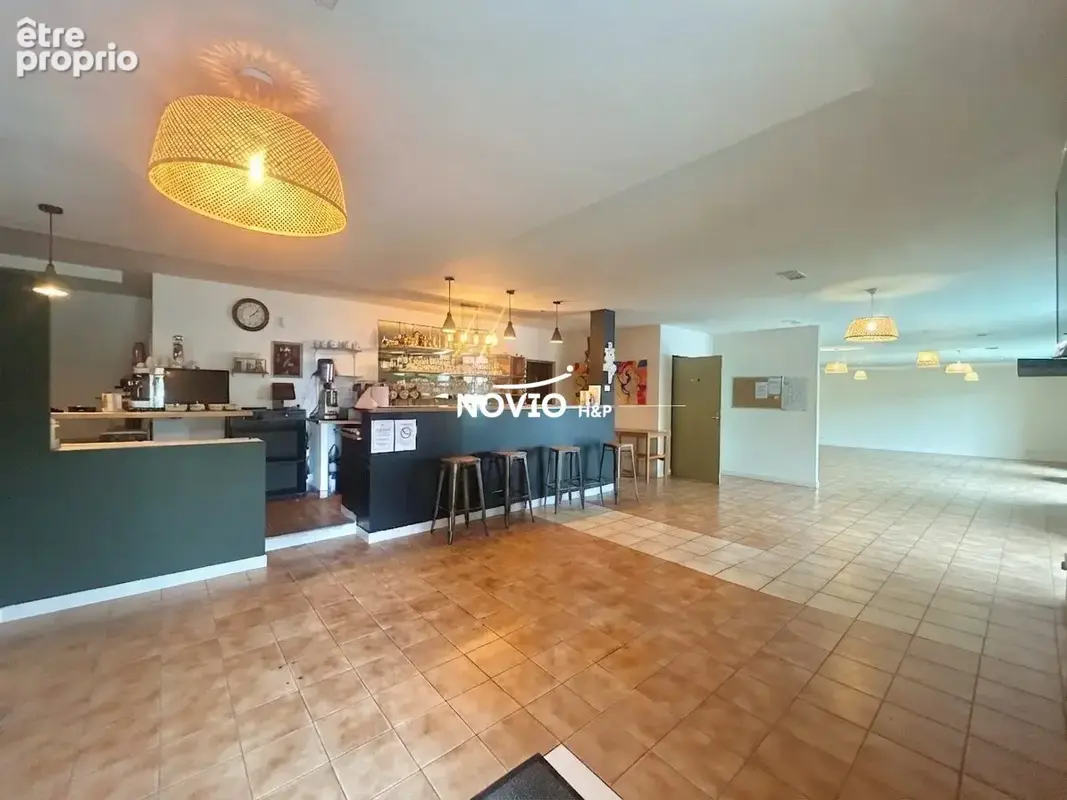 Commerce 355 m² à vendre à Dissay (86130) - photo 2